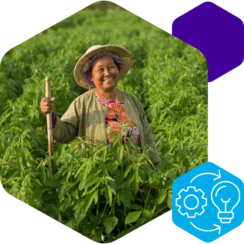 Impact Reporting Compostion