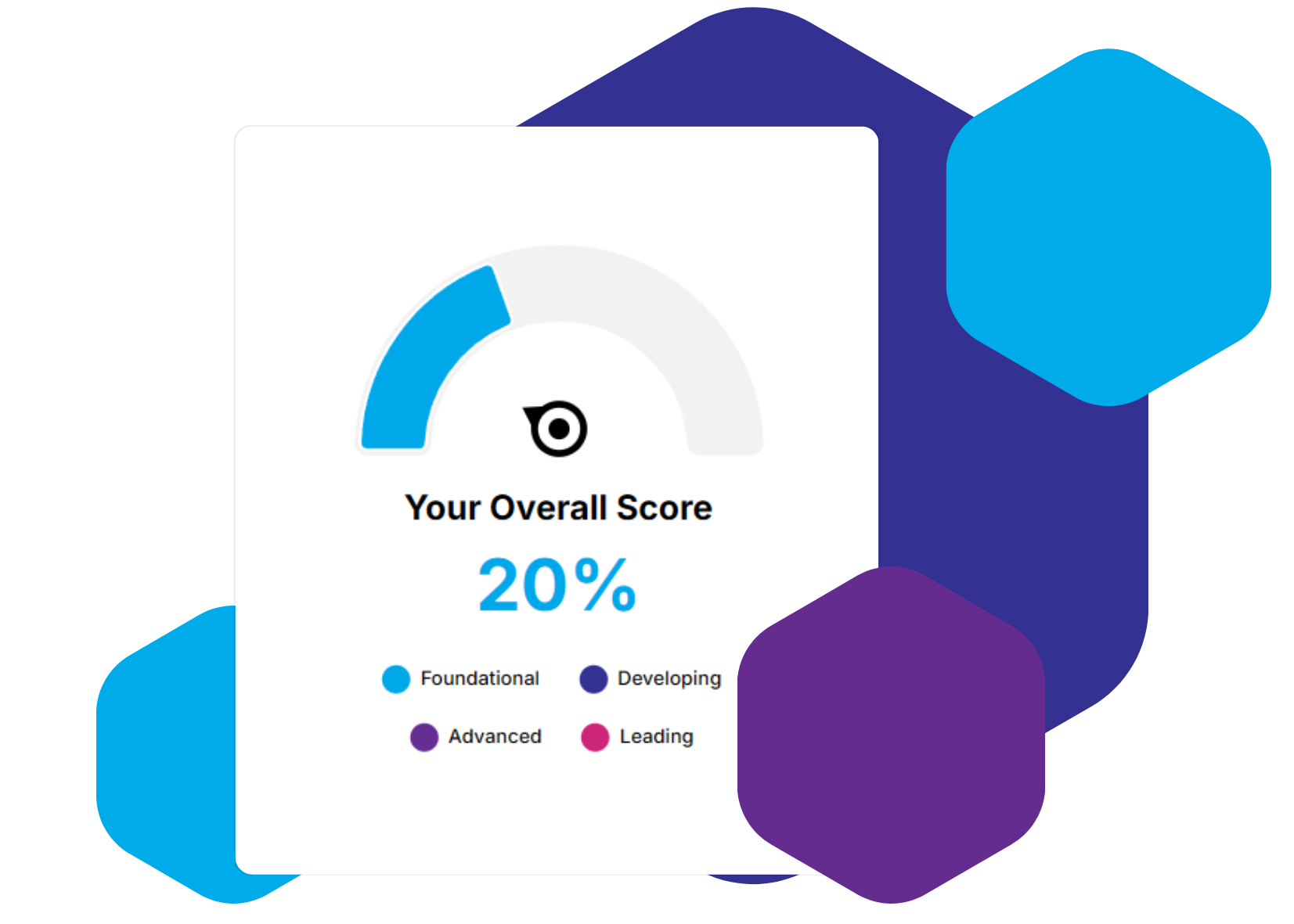 Health Check Score wide (1)