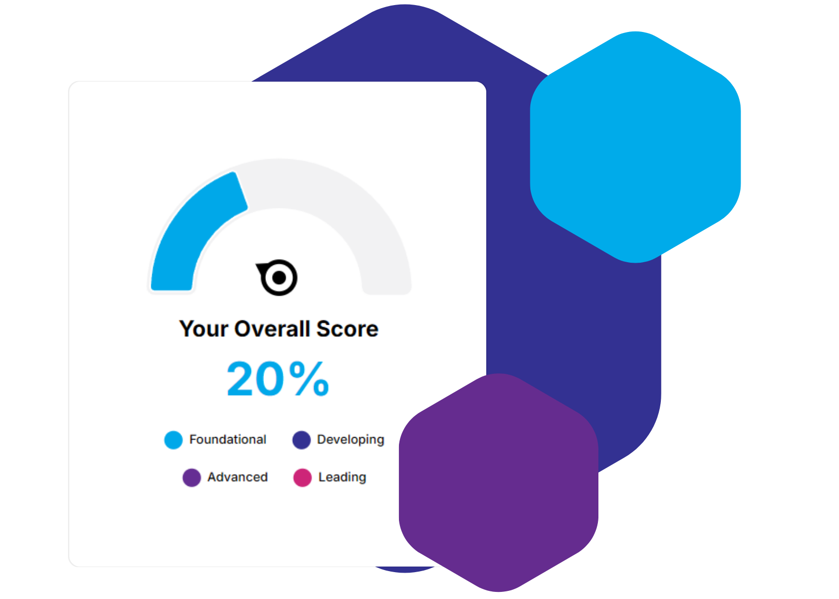 Health Check Score wide