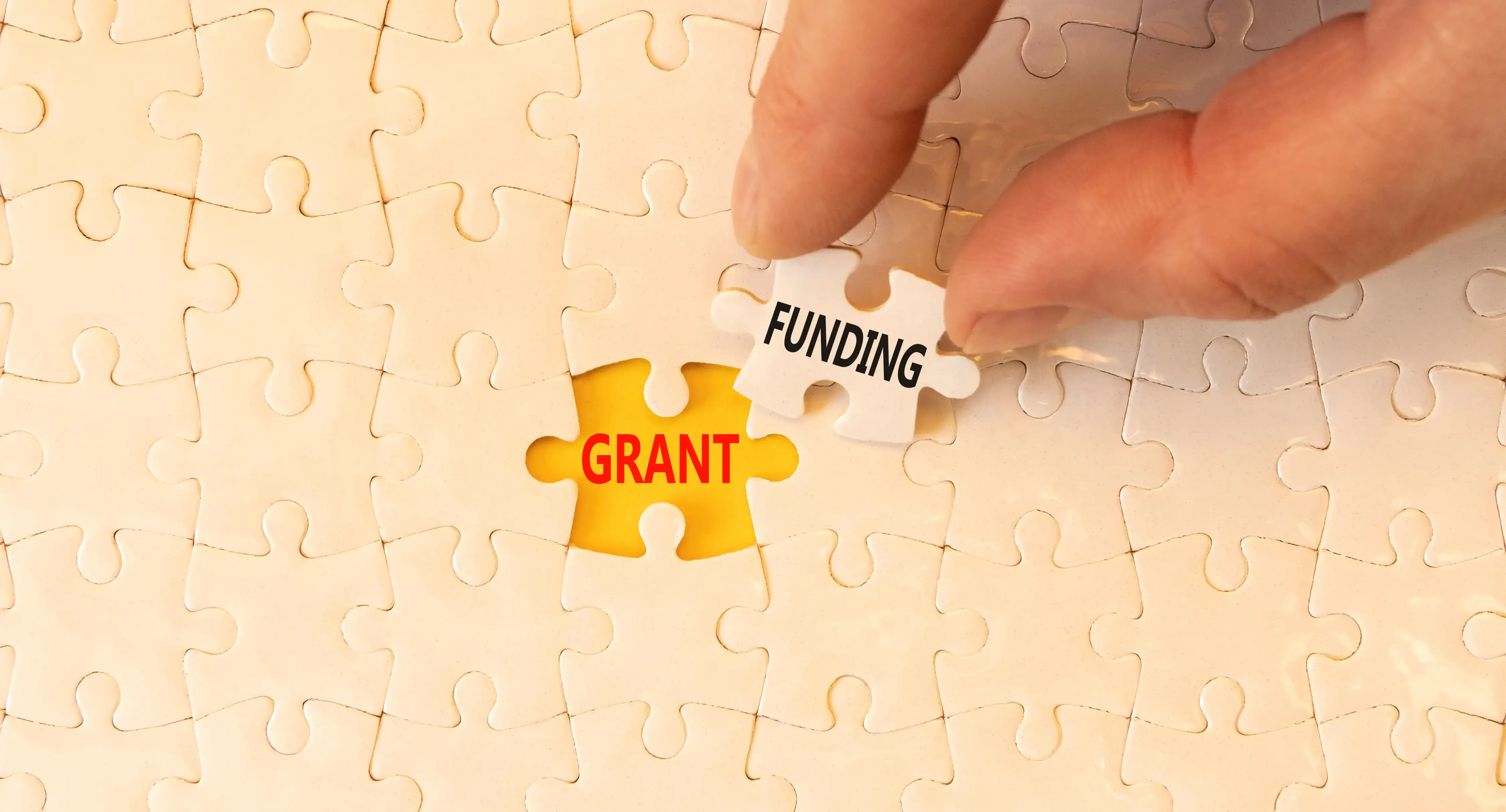 Grant Management Software: Features, Benefits and How It Works