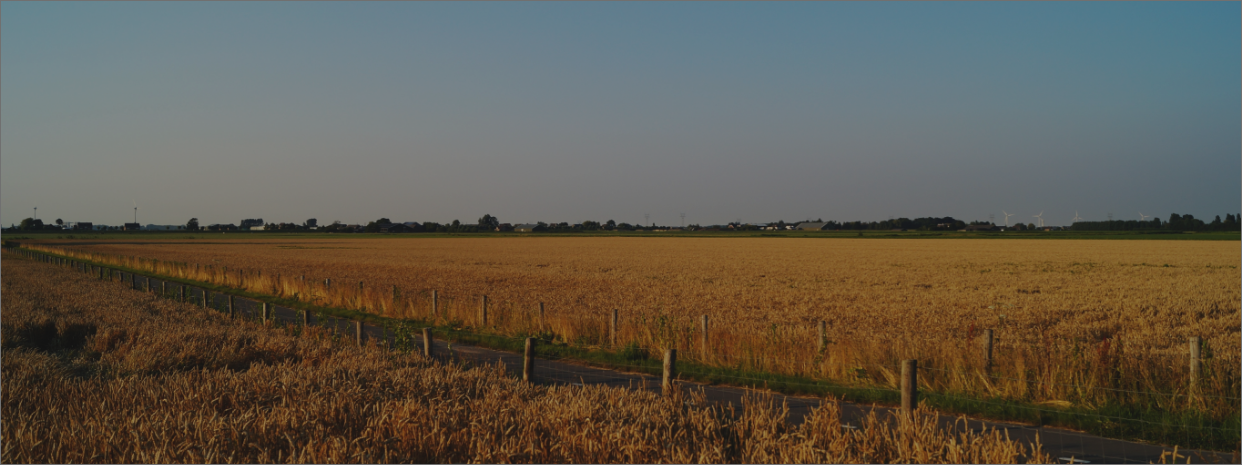 Company history - 01