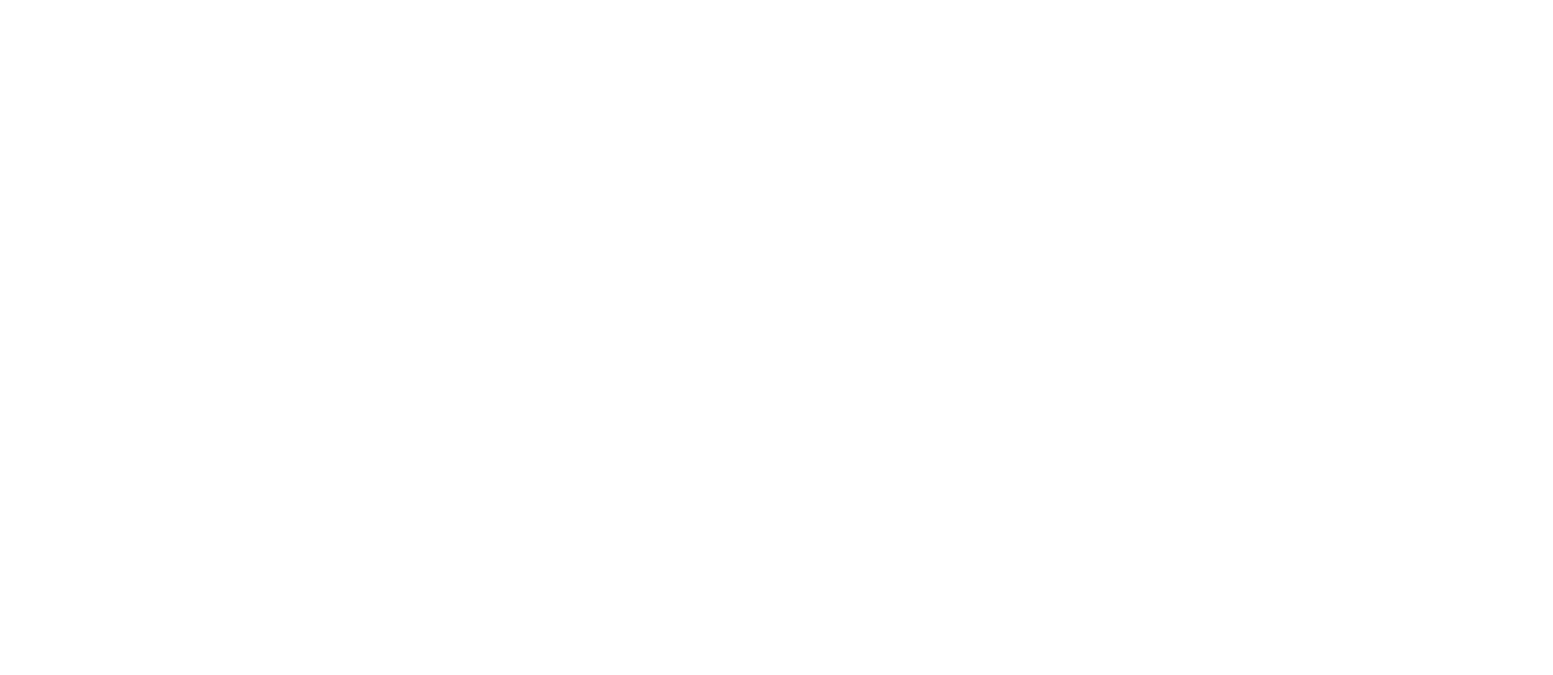 NSW-RFS-logo-White