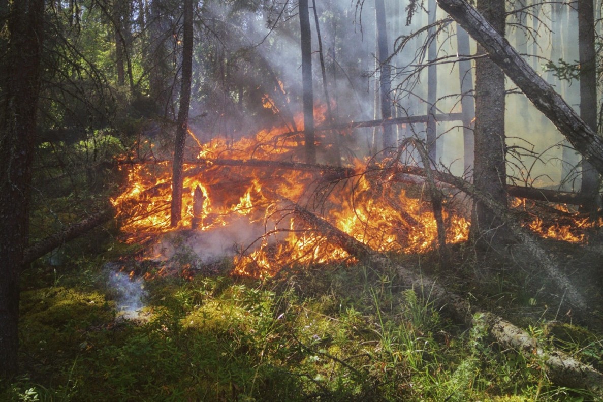 Distribute Grant Funds Quickly - It’s More Important Than Ever