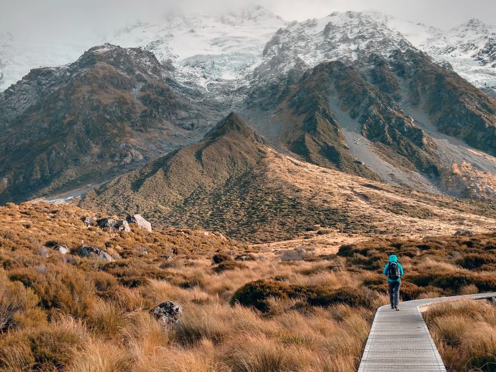 The Grant Management Software Tool for Oversight on Commitments